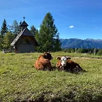 Dağ evi Lovely In A Mountain Wilderness Of The National Park Srednja Vas v Bohinju