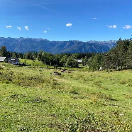 Lovely In A Mountain Wilderness Of The National Park Srednja Vas v Bohinju