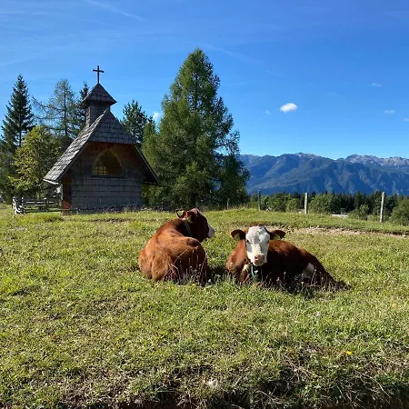 Horská chata Lovely In A Mountain Wilderness Of The National Park Srednja Vas v Bohinju