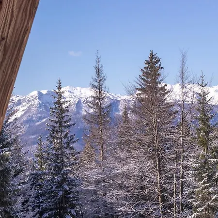 Lovely In A Mountain Wilderness Of The National Park * Srednja Vas v Bohinju
