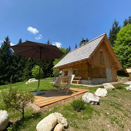 Lovely In A Mountain Wilderness Of The National Park *