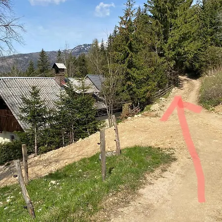 Lovely In A Mountain Wilderness Of The National Park *