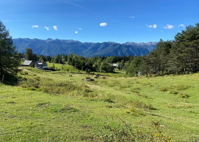 Lovely In A Mountain Wilderness Of The National Park Srednja Vas v Bohinju