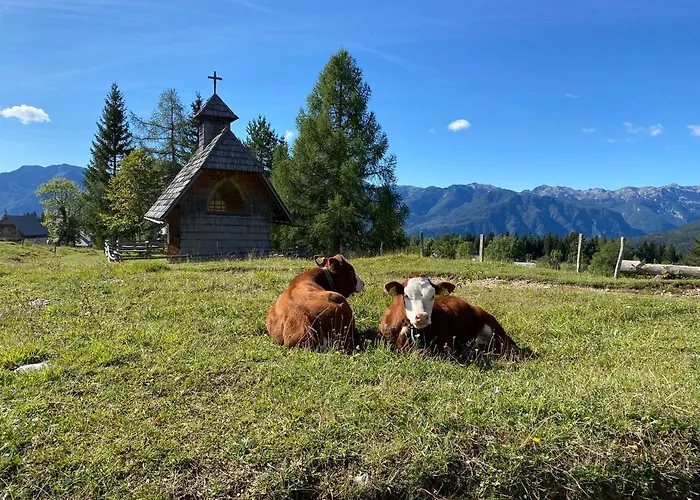 Horská chata Lovely In A Mountain Wilderness Of The National Park Srednja Vas v Bohinju